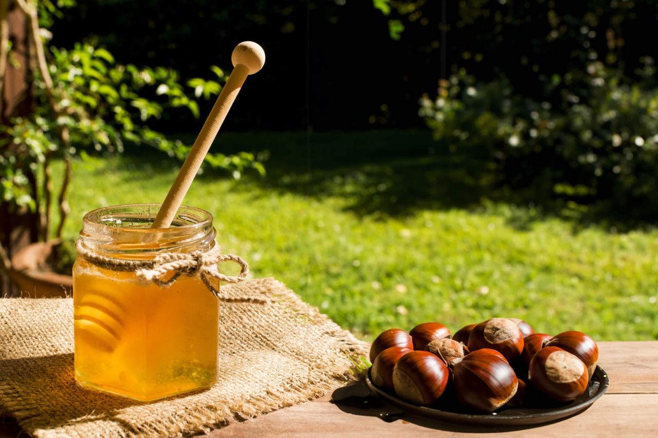 Kestane Balı: Doğanın Şifalı Lezzeti